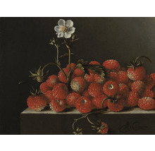 Fototapete Vlies HRBP100053 Adriaen Coorte Stilleben mit Erdbeeren 7-tlg. 340 x 254 cm