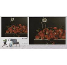 Fototapete Vlies HRBP100053 Adriaen Coorte Stilleben mit Erdbeeren 7-tlg. 340 x 254 cm