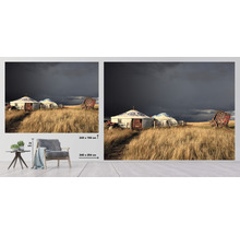 Wandbild mit Jurten und Wagen im Gras, Format 340 mal 254 Zentimeter