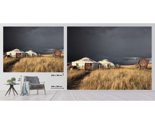Wandbild mit Jurten und Wagen im Gras, Format 340 mal 254 Zentimeter