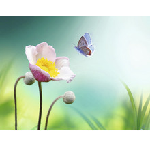 Fototapete Vlies HRBP100061 Blume mit Schmetterling 7-tlg. 340 x 254 cm-thumb-0