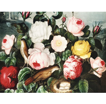 Fototapete Vlies HRBP100076 Thornton Blumen + Vogel 7-tlg. 340 x 254 cm