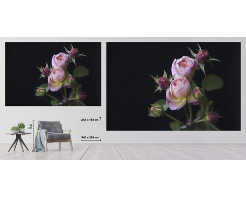 Wandbild mit Rosenmotiv in einem Wohnraum, 243 mal 184 Zentimeter und 340 mal 254 Zentimeter