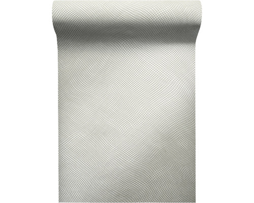 Tapetenrolle mit Netzmuster