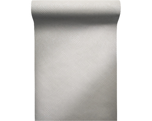 Tapetenrolle mit Netzmuster