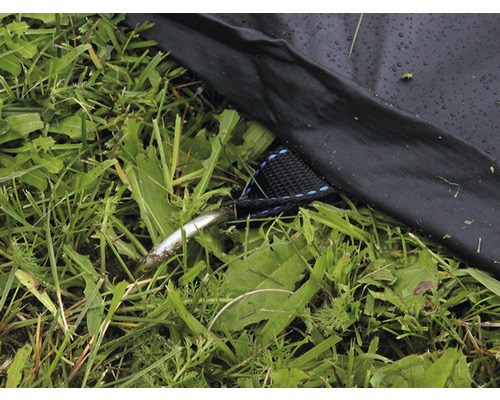 Detailansicht eines Zeltabspannseils mit Hering auf Rasen