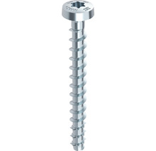 Holzbauschraube mit Torx Antrieb