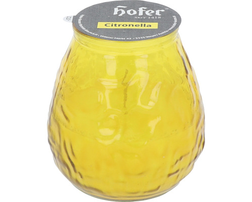Kerze im Glas Duftkerze Hofer Citronella H 10 cm gelb-0