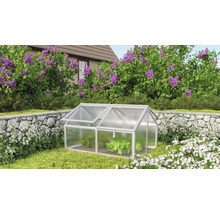 Kleingewächshaus im Garten mit Pflanzen
