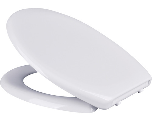 Toilettendeckel aus Kunststoff