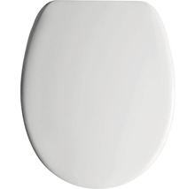 Toilettendeckel aus Kunststoff