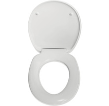 Toilettendeckel aus Kunststoff