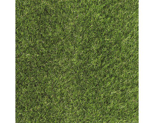 Kunstrasen Kiano mit Drainage 20 mm grün 400 cm breit (Meterware) Nahaufnahme von Rollrasen