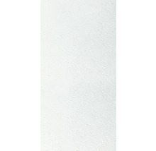 Kunststoffpaneel GX Wall+ White Stone 5x300x600 mm-thumb-0
