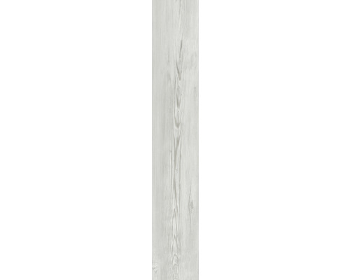 Kunststoffpaneel G x Wall+ Light Grey Oak 900 x 150 x 5 mm Helle Holzfliese mit Maserung für Innenräume