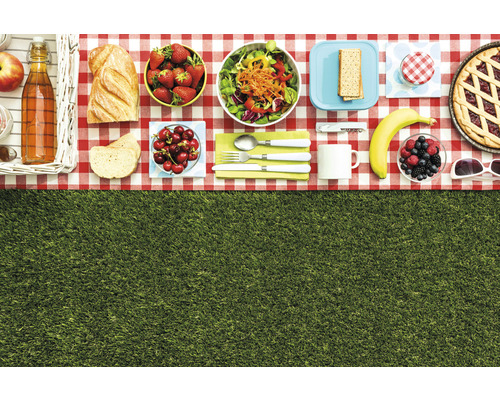 Picknickdecke mit Speisen und Getränken auf Rasen