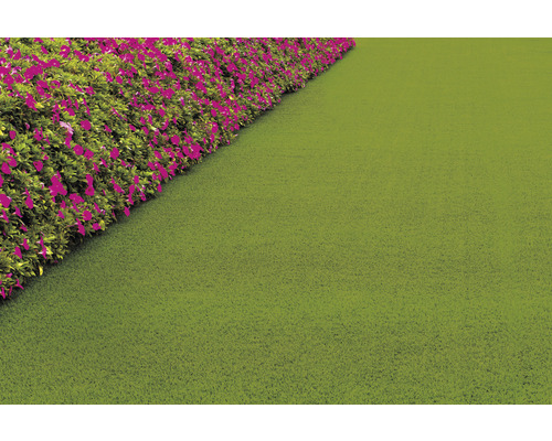 Kunstrasen neben Beet mit Blumen