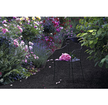 Szene eines Gartens mit Metallstuhl und Blumen
