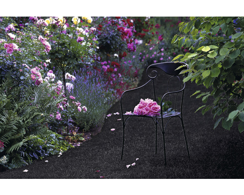 Szene eines Gartens mit Metallstuhl und Blumen