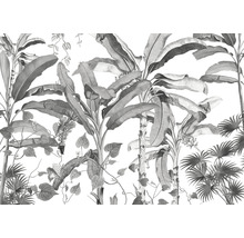 Fototapete Vlies INX8-082 Ink Croissances Monochrome 8-tlg. 400 x 280 cm