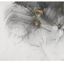 Fototapete Vlies INX6-022 Ink Ink Gold Flow 6-tlg. 300 x 280 cm
