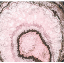 Fototapete Vlies INX6-074 Ink Geode 6-tlg. 300 x 280 cm