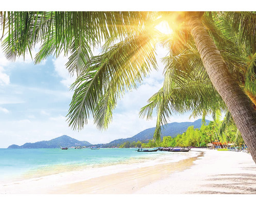 Tropischer Strand mit Palmen und Sonnenschein