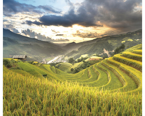 Landschaft mit Reisterrassen, Hügeln und einem Haus