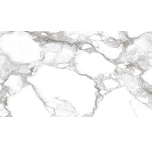 Marmorfliese mit grauer Maserung