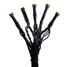 LED Lichterkette mit warmweißen Lichtern und schwarzem Kabel
