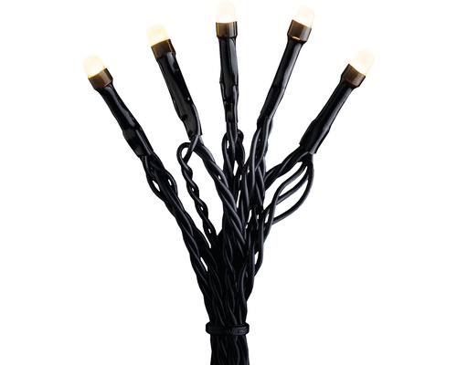 LED Lichterkette mit warmweißen Lichtern und schwarzem Kabel