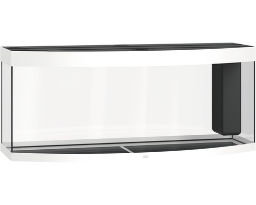 Leeres Aquarium mit gebogener Glasfront