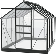Gewächshaus Vitavia Planet 6200 Einscheibensicherheitsglas 3 mm 195 x 321 cm schwarz