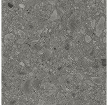Graue Terrazzo Fliese Nahaufnahme