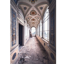 Fototapete Vlies X4-144 Glasflur 200 x 280 cm