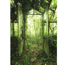 Verlassenes Gewächshaus mit überwucherter Vegetation