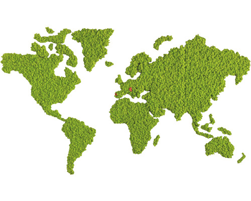 Weltkarte aus Moos mit Markierungen in Europa