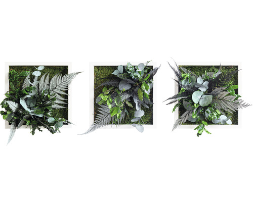 Pflanzenbild Dschungeldesign Rahmen weiß 3er-Set 3x 22x22 cm