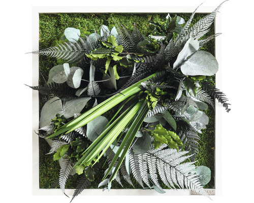 Pflanzenbild Dschungeldesign Rahmen weiß 35x35 cm