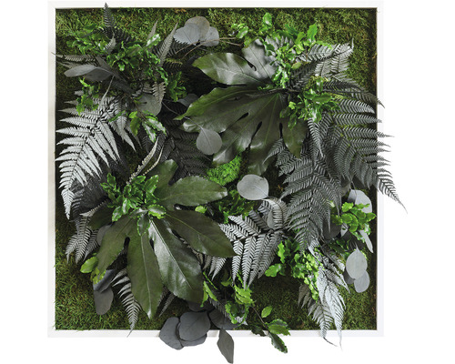 Pflanzenbild Dschungeldesign Rahmen weiß 55x55 cm