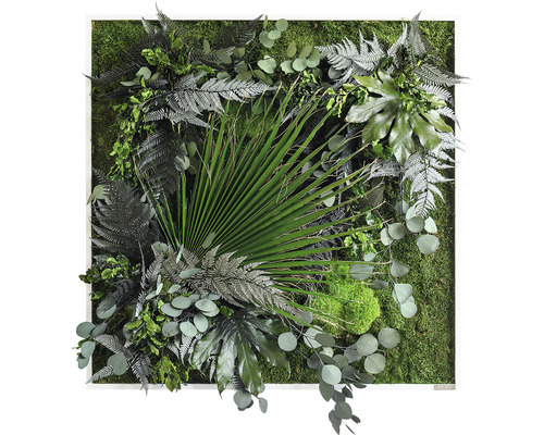Pflanzenbild Dschungeldesign Rahmen weiß 80x80 cm