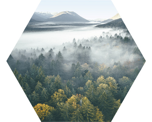 Hexagon Foggy Forest Atmoshere 45x45 cm