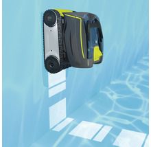 Schwimmbadreiniger an Beckenwand