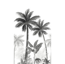 Schwarzweiß-Illustration tropischer Pflanzen und Palmen