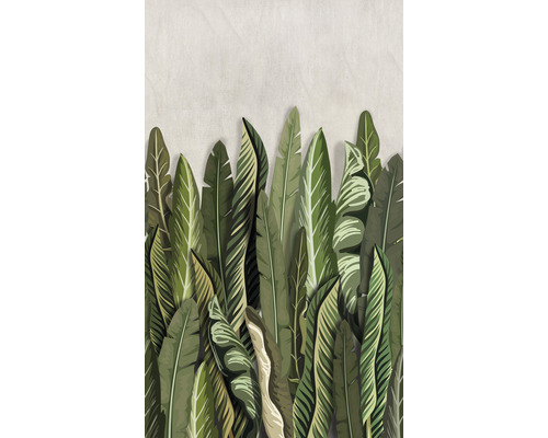 Fototapete Vlies 47205 Smart Art Easy Floral grün beige 3-tlg. 159 x 270 cm