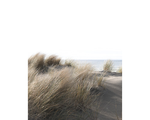 Fototapete Vlies 47219 Smart Art Easy Dünen 4-tlg. 212 x 270 cm Dünengras am Strand