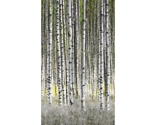 Fototapete Vlies 47220 Smart Art Easy Wald weiß grün 3-tlg. 159 x 270 cm