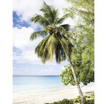 Strandansicht mit Palmen und Meer