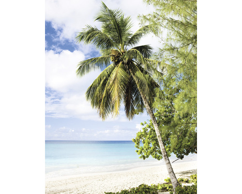 Fototapete Vlies 47269 Smart Art Easy Strand 4-tlg. 212 x 270 cm Strandansicht mit Palmen und Meer