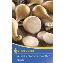 Verpackung gelbe Winterschalotten der Sorte Griselle